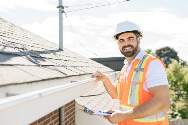 Best Roof Moss and Algae Removal  in Munroe Falls, OH